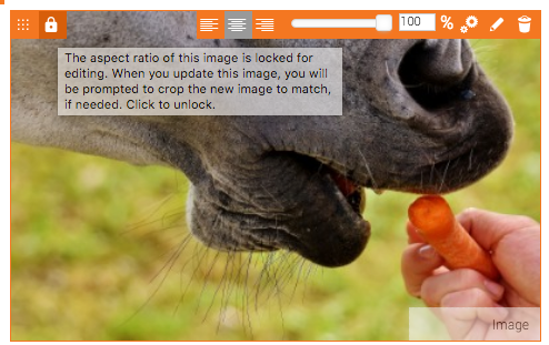 image_locked.png