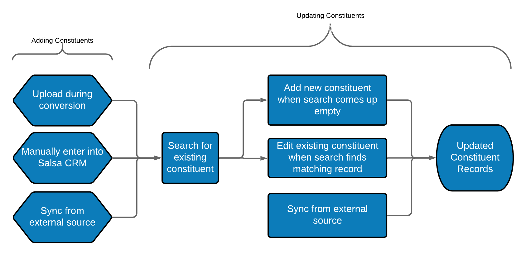 Constituent_Data_Entry_Big_Picture__2_.png