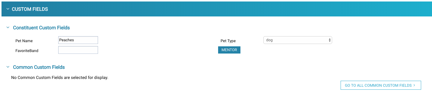 Custom_Fields_Widget.png