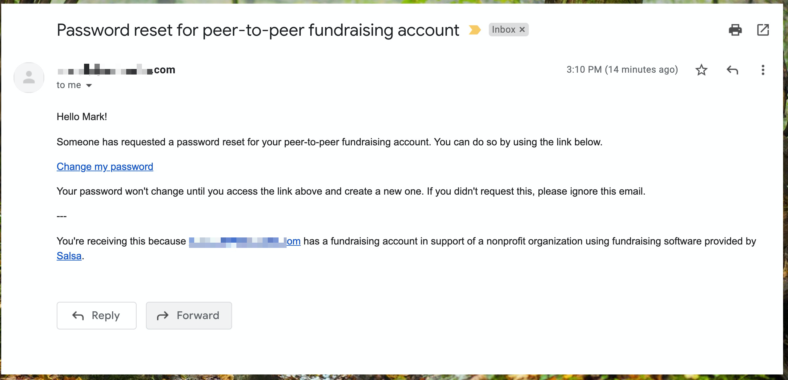 P2P_Portal_Password_Reset_Email.jpg